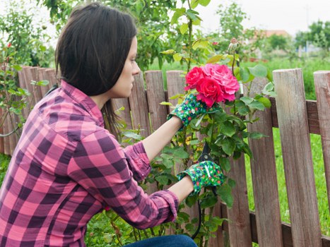 Gardener assessing a garden with clipboard and safety gear