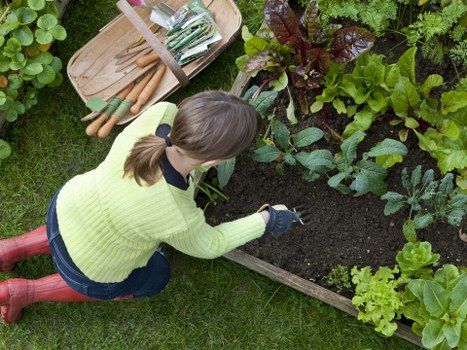 Workers preparing green waste for recycling