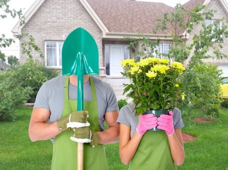 Hedge trimming and shrub shaping