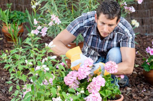 Seasonal flowers arranged by Gardening Services Lee